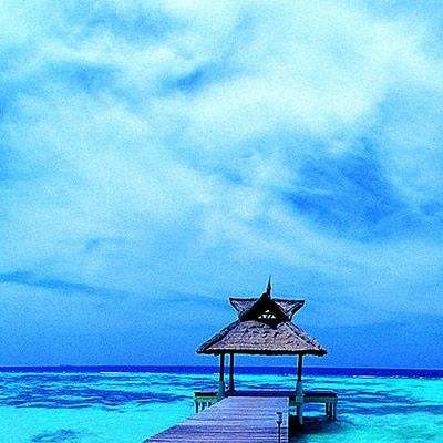 厦门房地产网截图